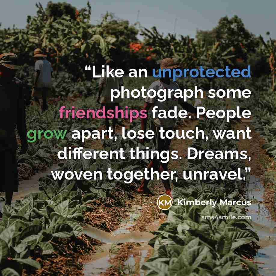 “Like an unprotected photograph some friendships fade. People grow apart, lose touch, want different things. Dreams, woven together, unravel.” quote by Kimberly Marcus