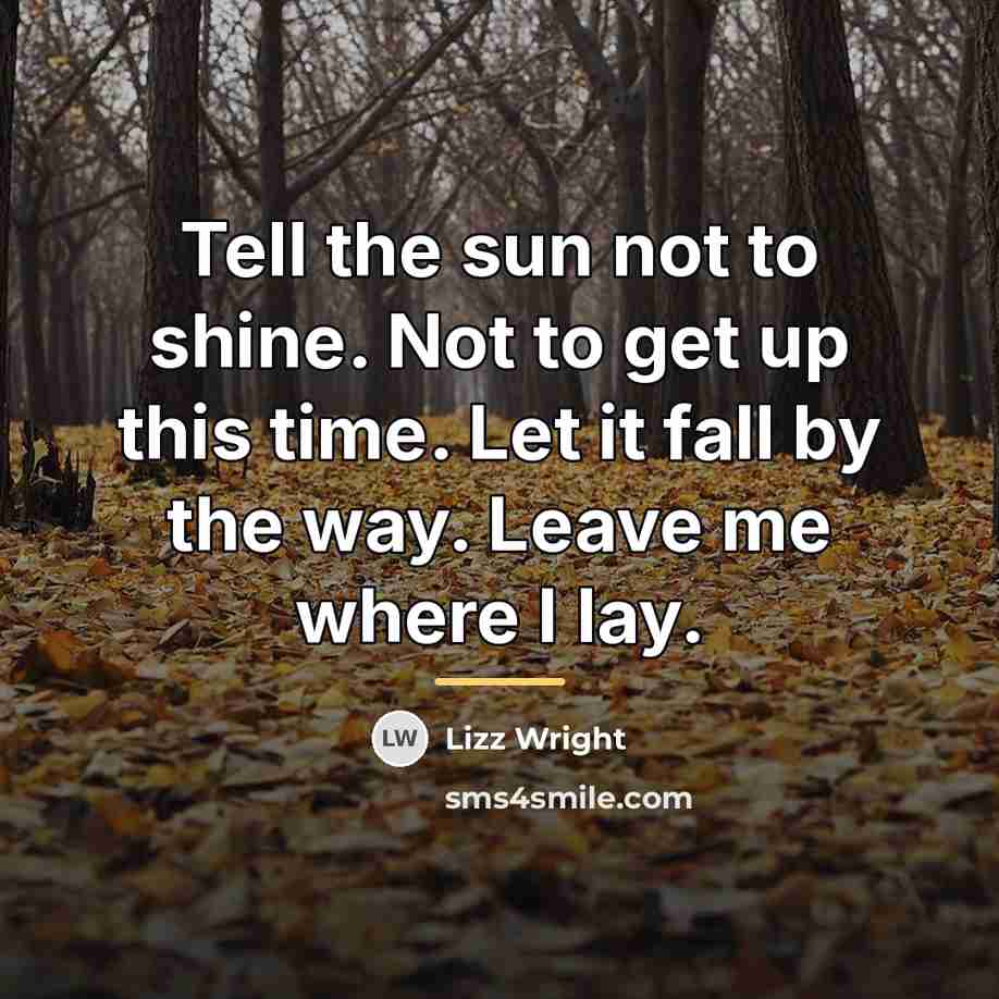 “Tell the sun not to shine. Not to get up…” quote by Lizz Wright