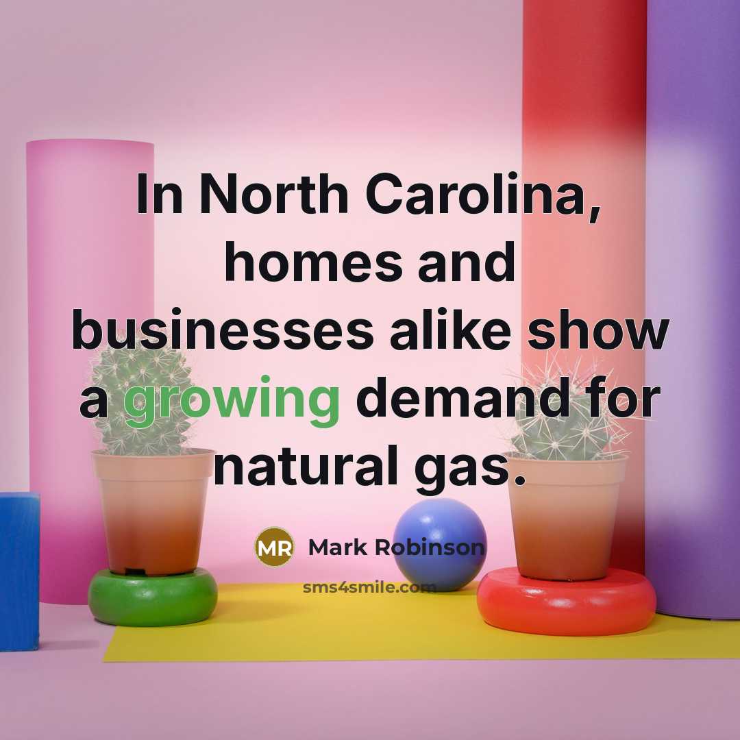 “In North Carolina, homes and businesses alike show a growing…” quote by Mark Robinson