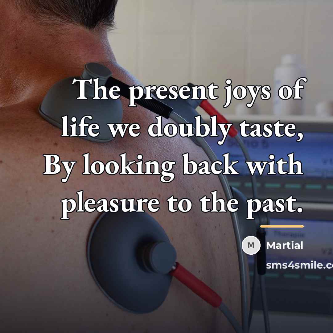 “The present joys of life we doubly taste, By looking…” quote by Martial