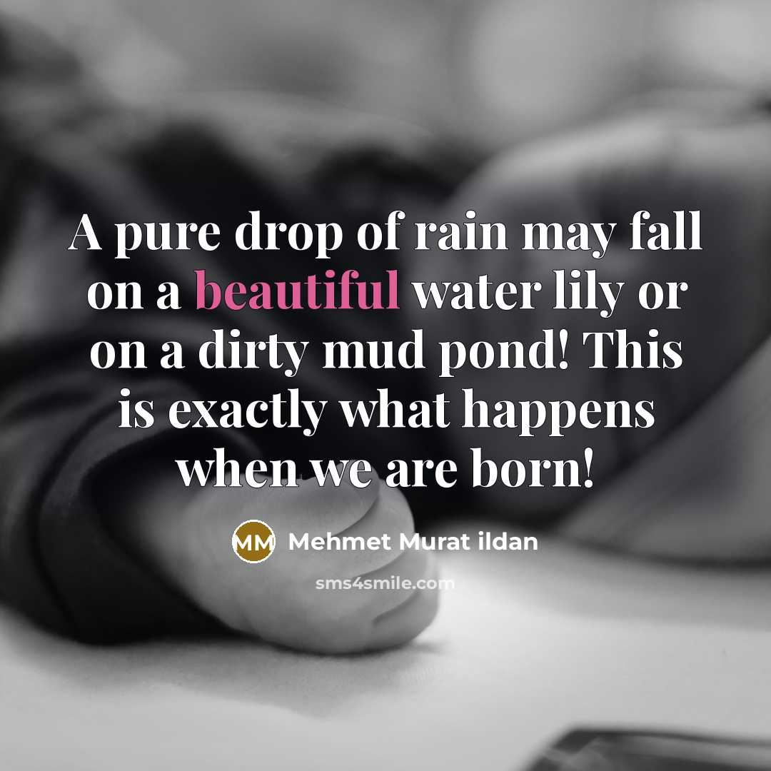 “A pure drop of rain may fall on a beautiful…” quote by Mehmet Murat Ildan