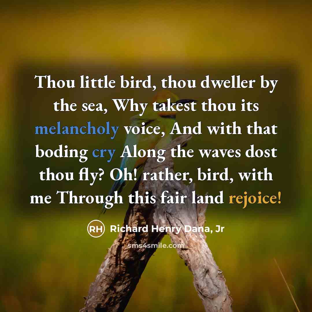 “Thou little bird, thou dweller by the sea, Why takest…” quote by Richard Henry Dana, Jr