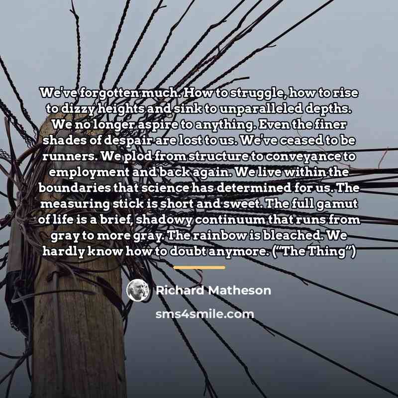 “We've forgotten much. How to struggle, how to rise to…” quote by Richard Matheson