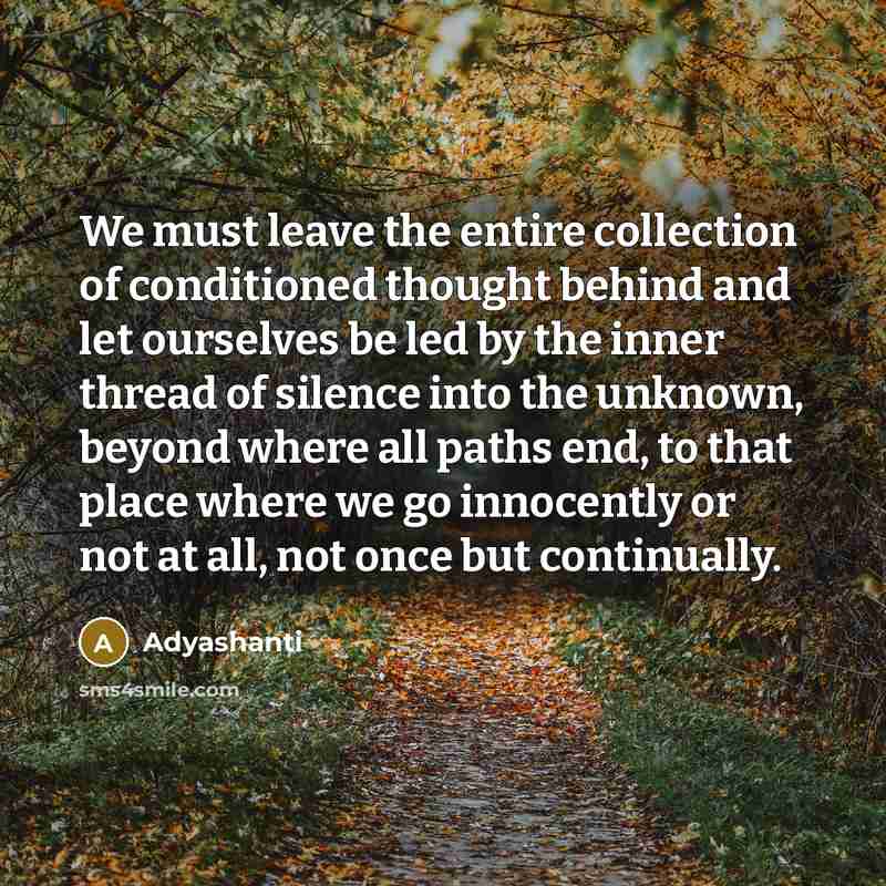 “We must leave the entire collection of conditioned thought behind…” quote by Adyashanti
