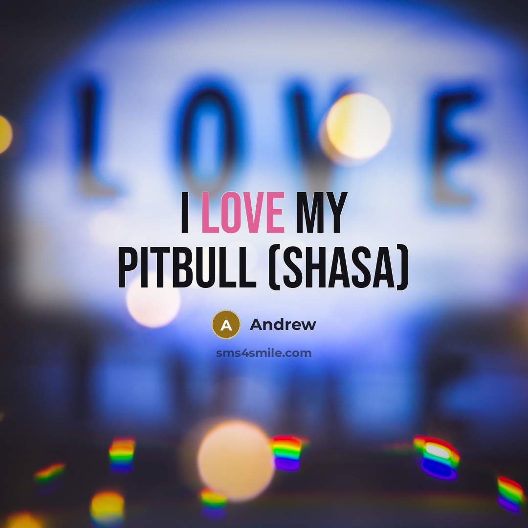 “I love my pitbull (Shasa)…” quote by Andrew
