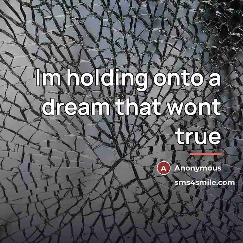 “Im holding onto a dream that wont true…” quote by Anonymous