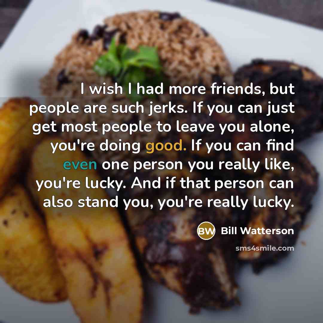 “I wish I had more friends, but people are such…” quote by Bill Watterson