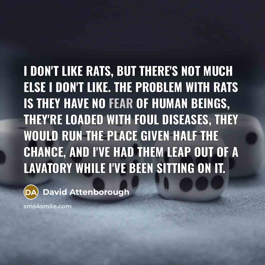 “I don't like rats, but there's not much else I…” quote by David Attenborough