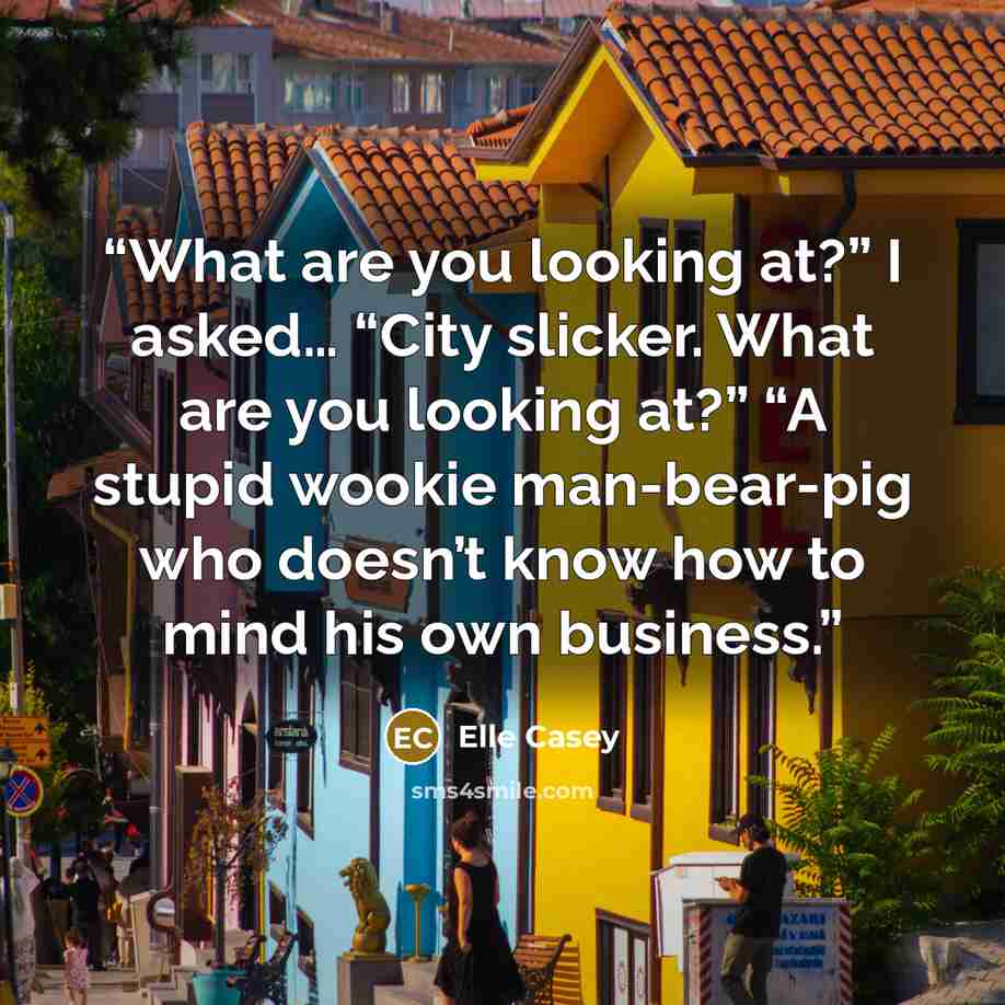 “What are you looking at?” I asked… “City slicker. What are you looking at?” “A stupid wookie man-bear-pig who doesn’t know how to mind his own business.” quote by Elle Casey
