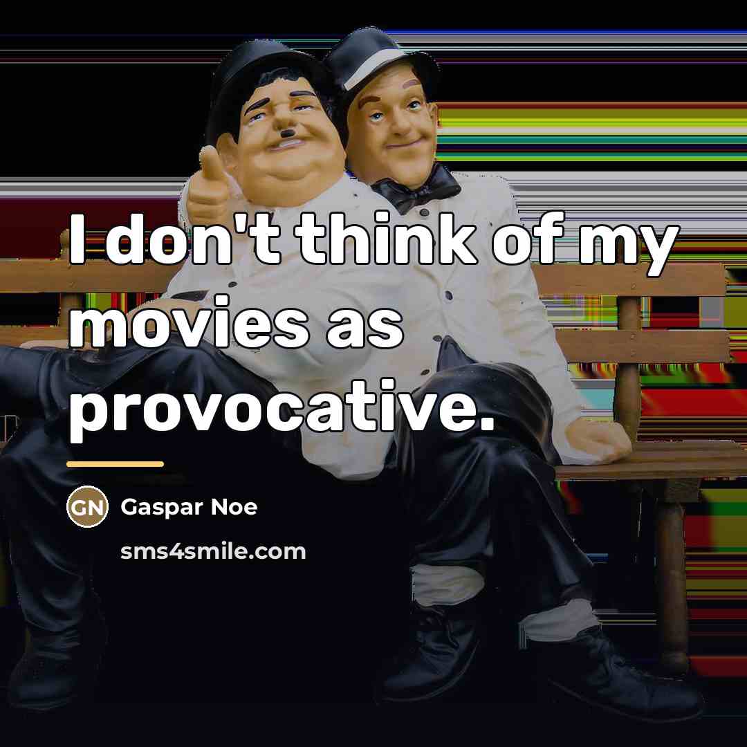 “I don't think of my movies as provocative.…” quote by Gaspar Noe