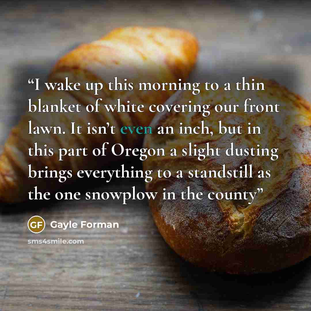 “I wake up this morning to a thin blanket of white covering our front lawn. It isn’t even an inch, but in this part of Oregon a slight dusting brings everything to a standstill as the one snowplow in the county” quote by Gayle Forman