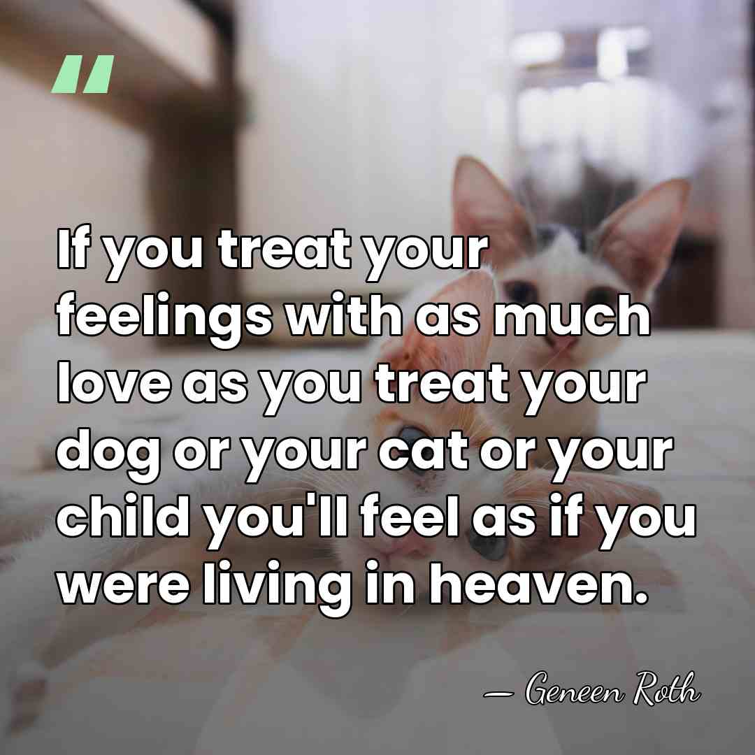 If you treat your feelings with as much love as you treat&hellip; - Geneen Roth