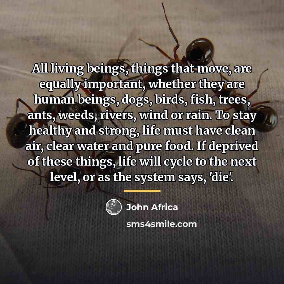 “All living beings, things that move, are equally important, whether…” quote by John Africa