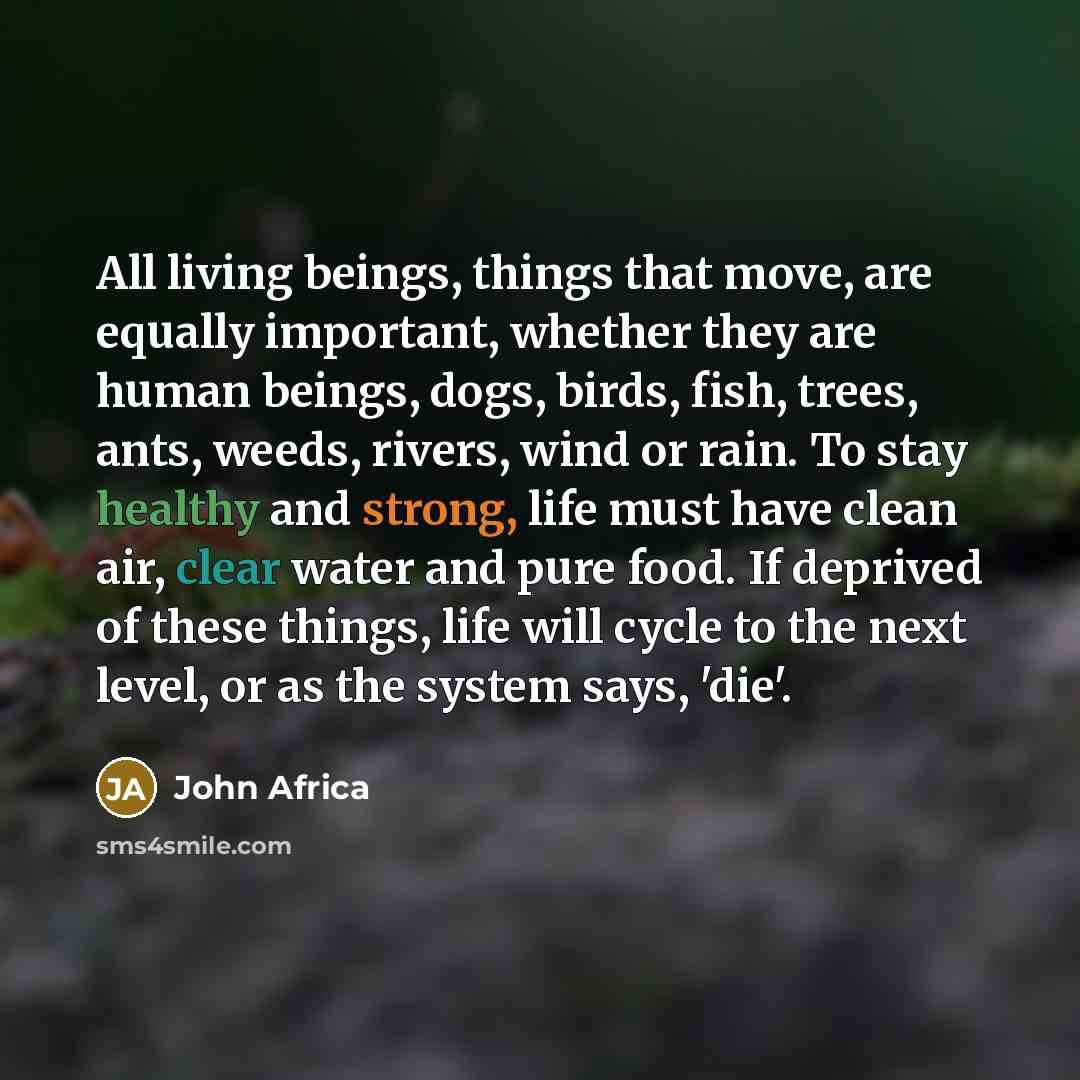 “All living beings, things that move, are equally important, whether they are human beings, dogs, birds, fish, trees, ants, weeds, rivers, wind or rain. To stay healthy and strong, life must have clean air, clear water and pure food. If deprived of these things, life will cycle to the next level…” quote by John Africa