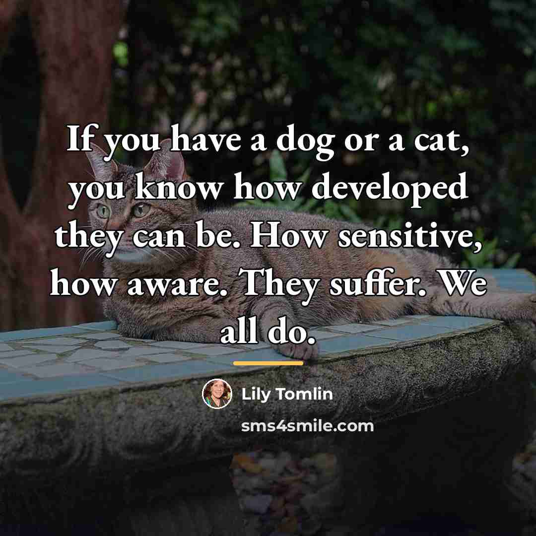“If you have a dog or a cat, you know…” quote by Lily Tomlin