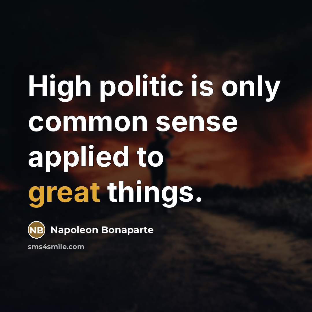 “High politic is only common sense applied to great things.…” quote by Napoleon Bonaparte