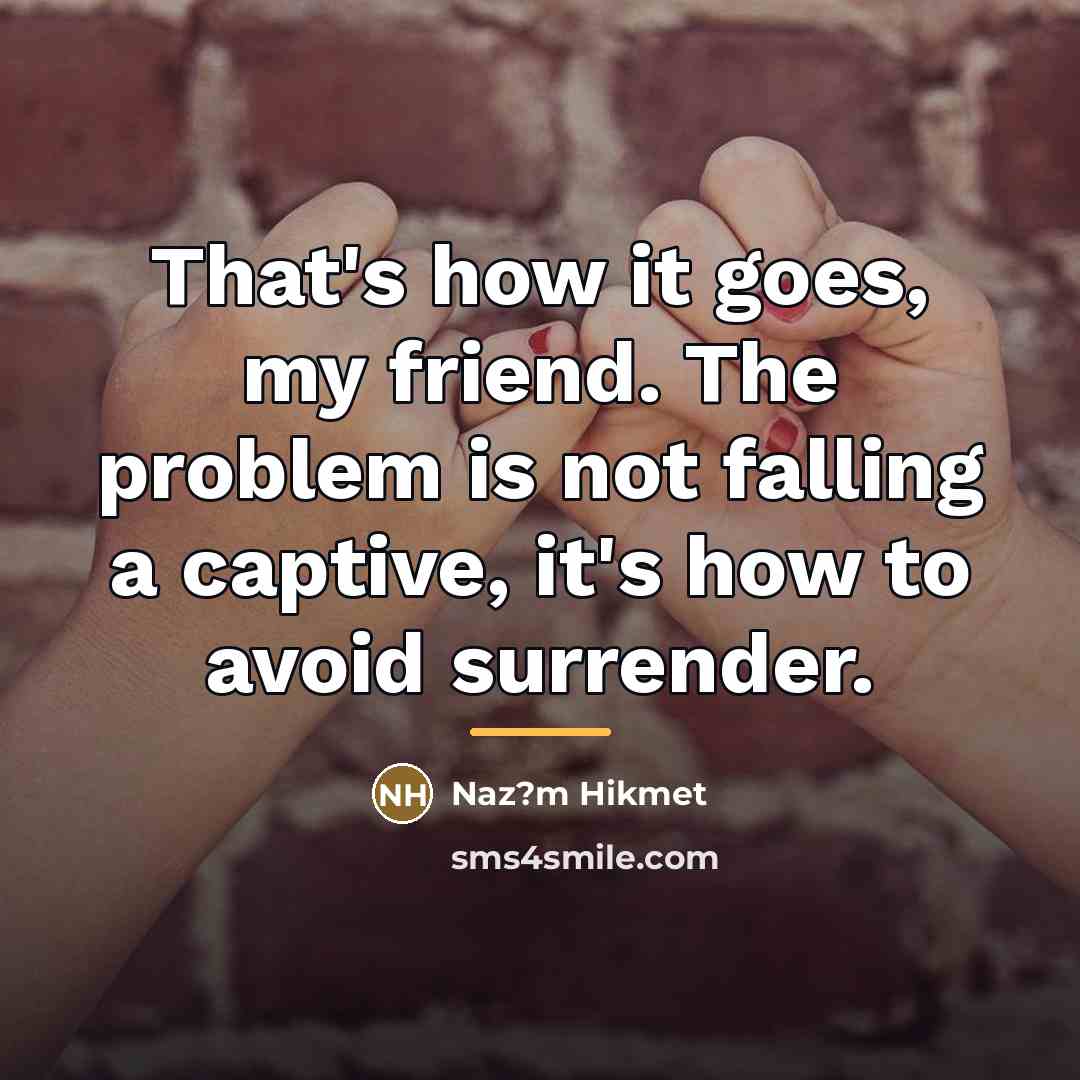 “That's how it goes, my friend. The problem is not…” quote by Naz?m Hikmet