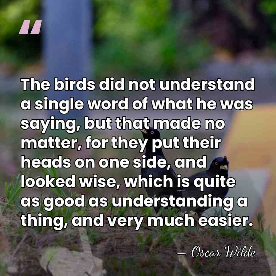 The birds did not understand a single word of what he was&hellip; - Oscar Wilde