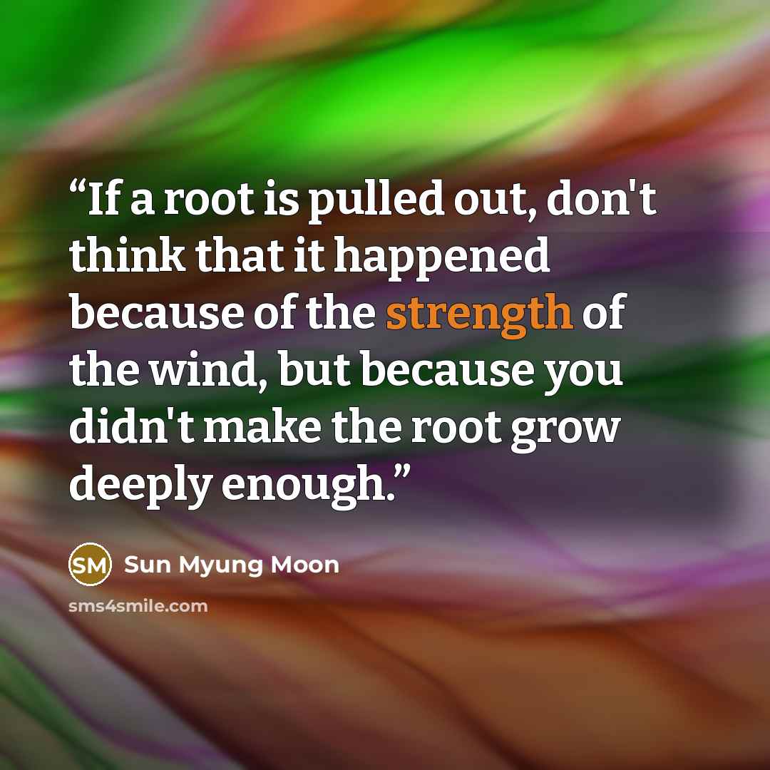 “If a root is pulled out, don't think that it happened because of the strength of the wind, but because you didn't make the root grow deeply enough.” quote by Sun Myung Moon