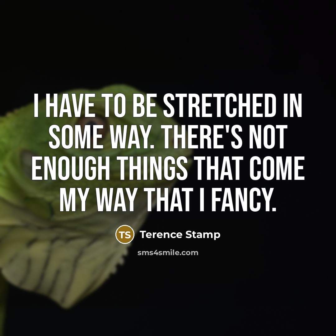 “I have to be stretched in some way. There's not…” quote by Terence Stamp