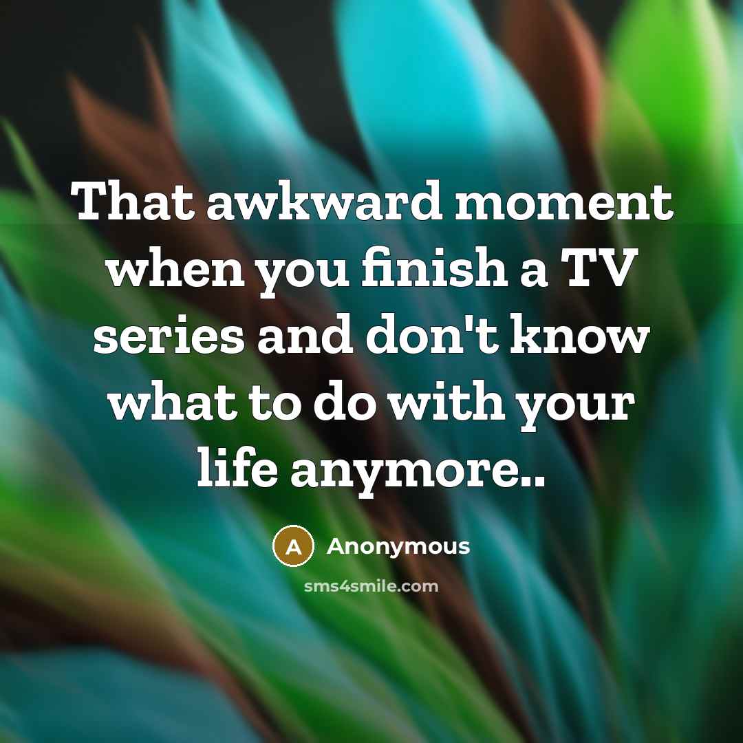 “That awkward moment when you finish a TV series and…” quote by Anonymous
