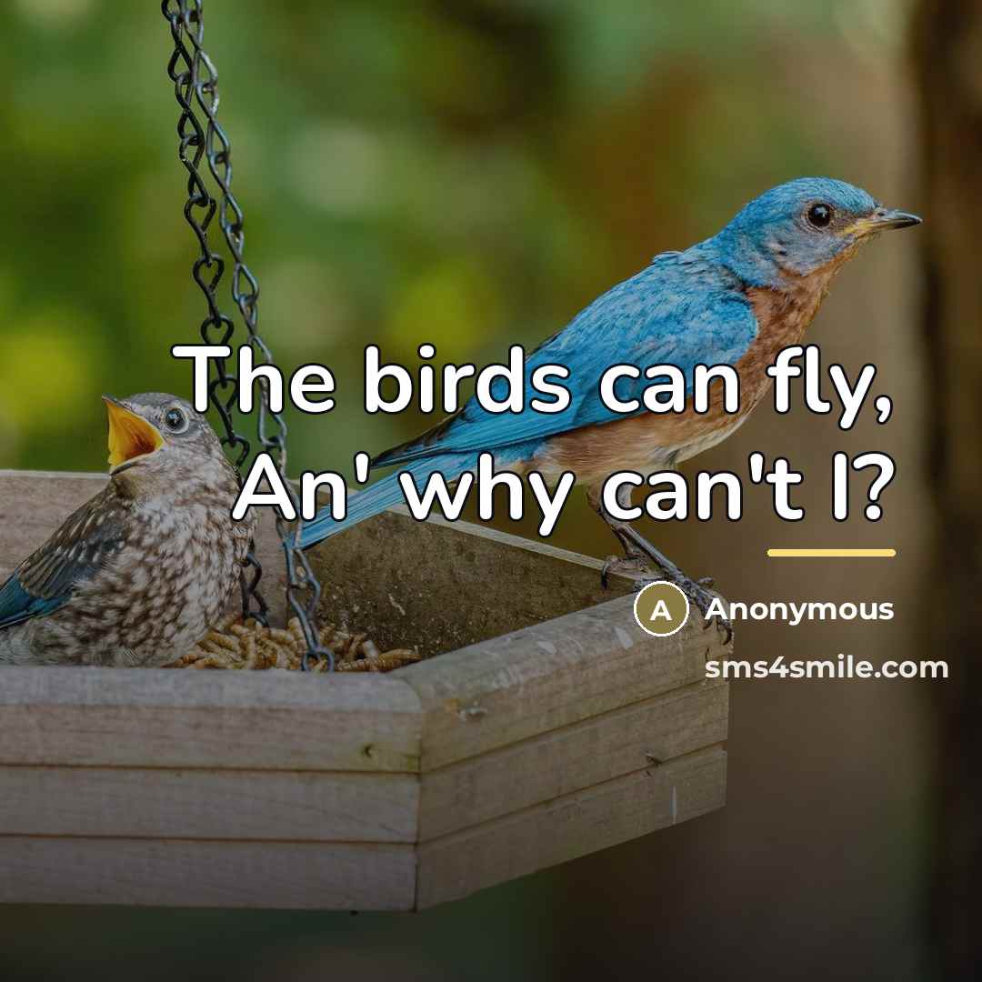 “The birds can fly, An' why can't I?…” quote by Anonymous