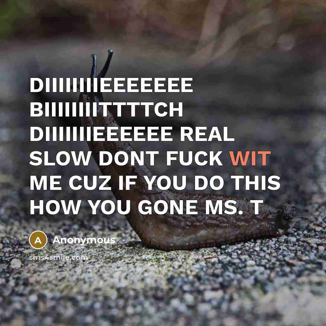 “DIIIIIIIIEEEEEEE BIIIIIIIITTTTCH DIIIIIIIEEEEEE REAL SLOW DONT FUCK WIT ME CUZ…” quote by Anonymous