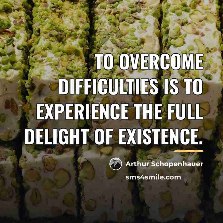 “To overcome difficulties is to experience the full delight of…” quote by Arthur Schopenhauer