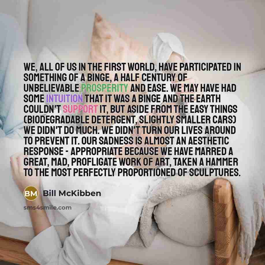 “We, all of us in the First World, have participated…” quote by Bill McKibben