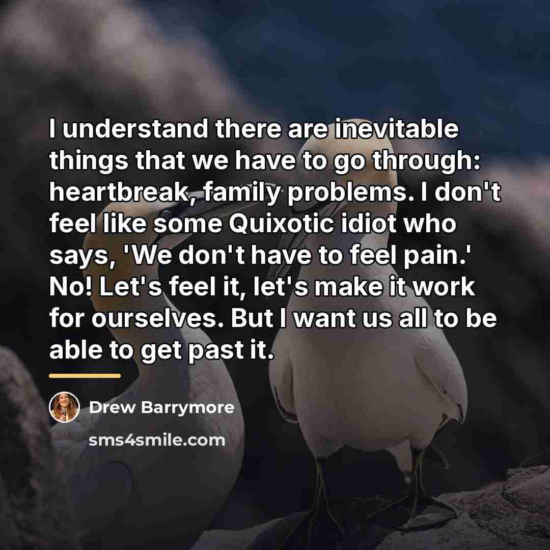 “I understand there are inevitable things that we have to…” quote by Drew Barrymore