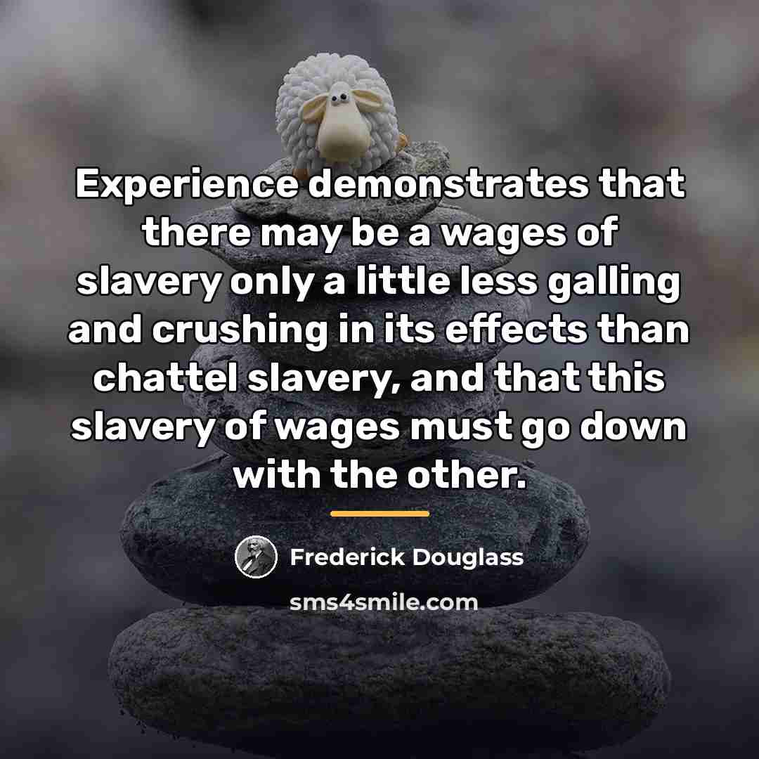 “Experience demonstrates that there may be a wages of slavery…” quote by Frederick Douglass