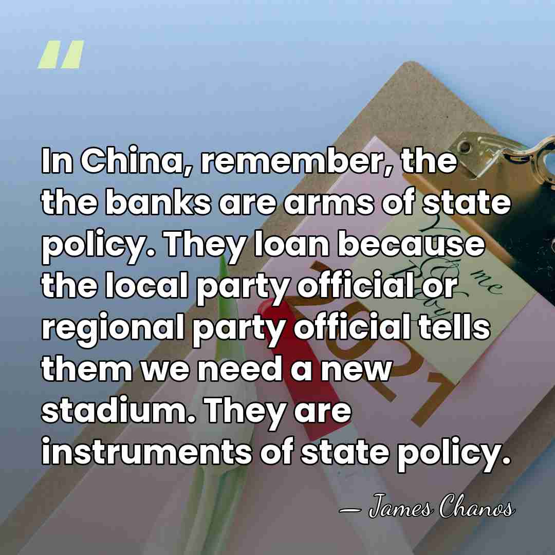 In China, remember, the the banks are arms of state policy. They&hellip; - James Chanos