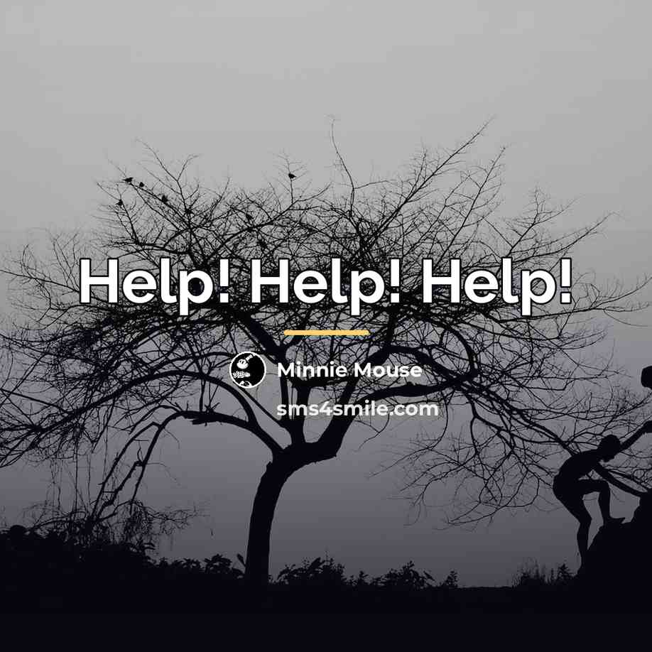 “Help! Help! Help!…” quote by Minnie Mouse