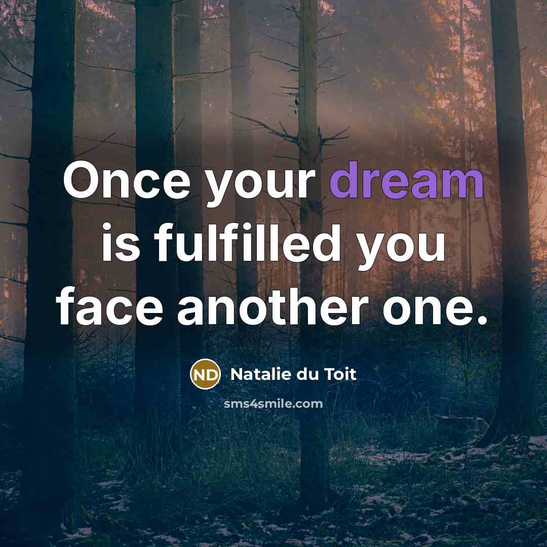 “Once your dream is fulfilled you face another one.…” quote by Natalie du Toit