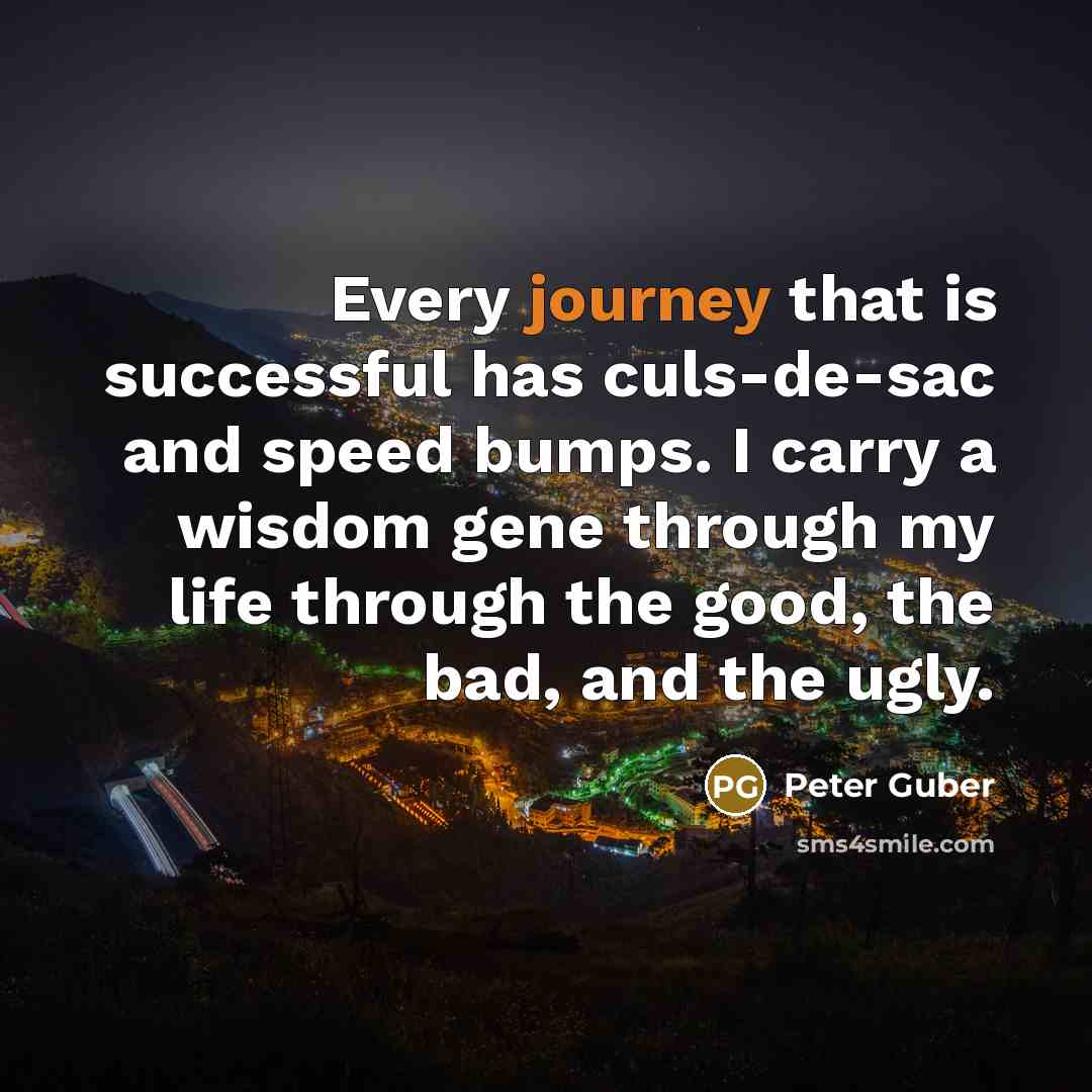 “Every journey that is successful has culs-de-sac and speed bumps.…” quote by Peter Guber