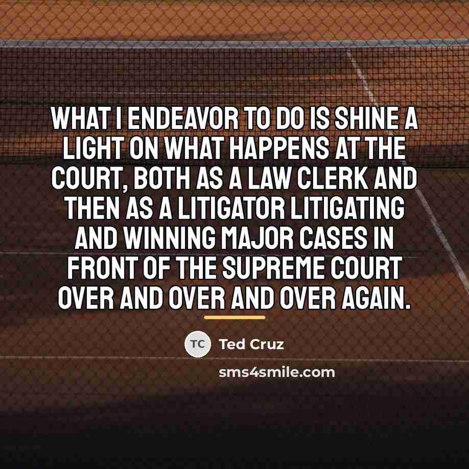 “What I endeavor to do is shine a light on…” quote by Ted Cruz