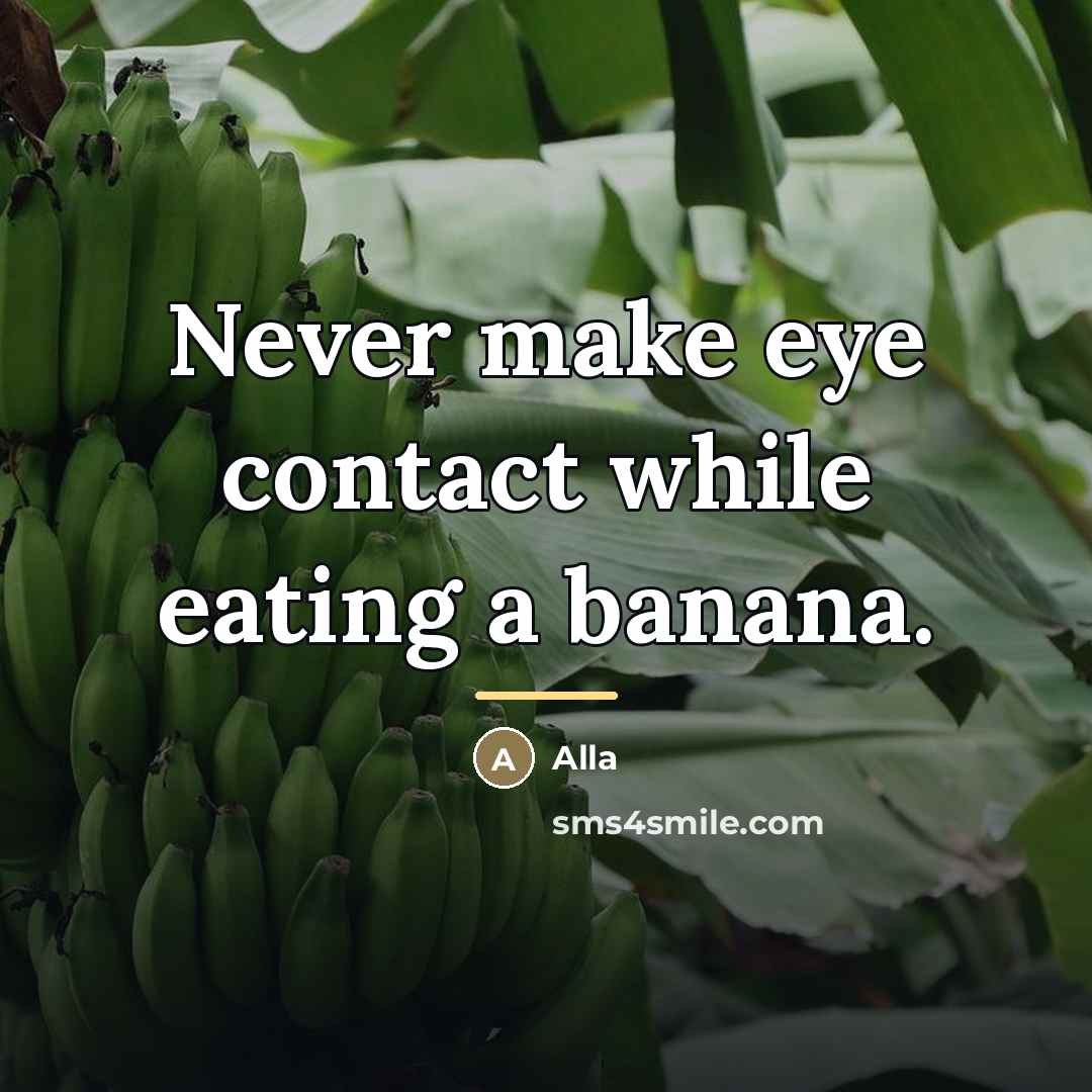 “Never make eye contact while eating a banana.…” quote by Alla