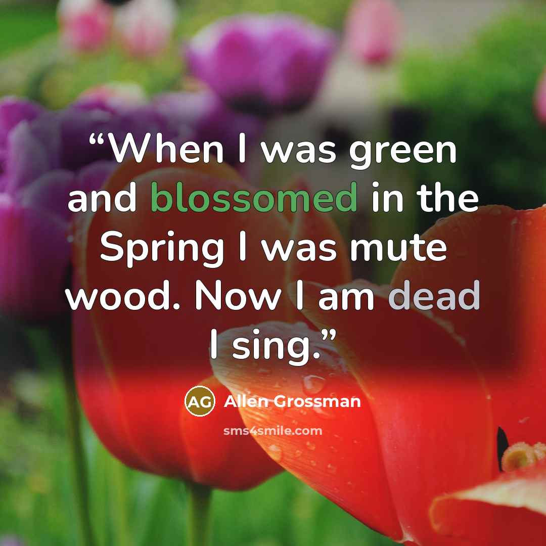 “When I was green and blossomed in the Spring I was mute wood. Now I am dead I sing.” quote by Allen Grossman