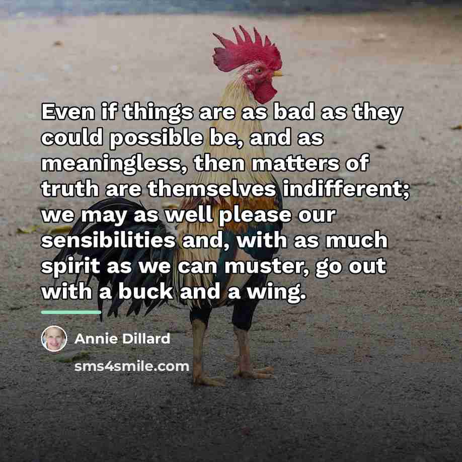 “Even if things are as bad as they could possible…” quote by Annie Dillard