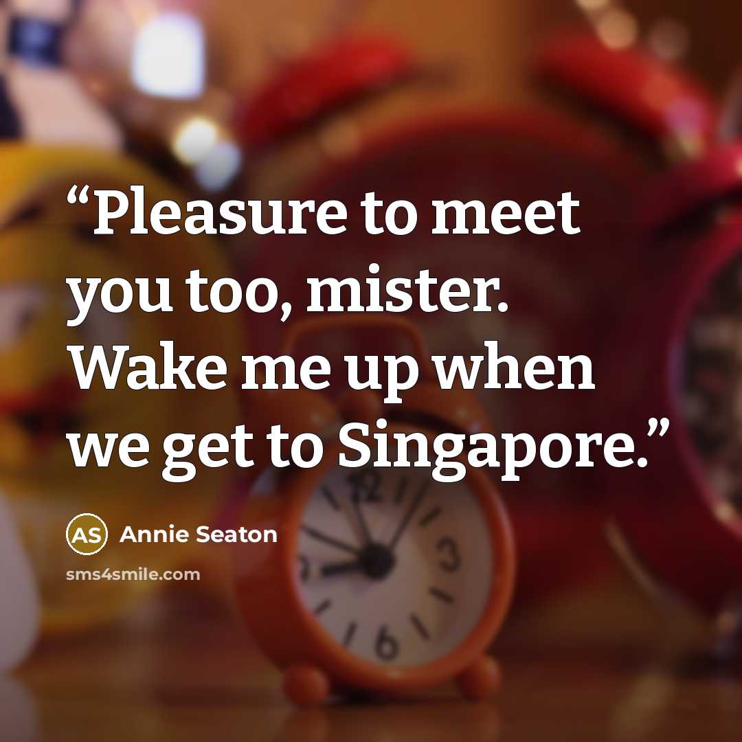 “Pleasure to meet you too, mister. Wake me up when we get to Singapore.” quote by Annie Seaton