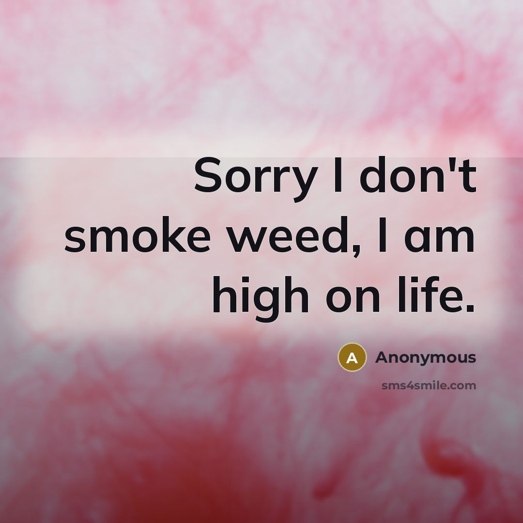 “Sorry I don't smoke weed, I am high on life.…” quote by Anonymous