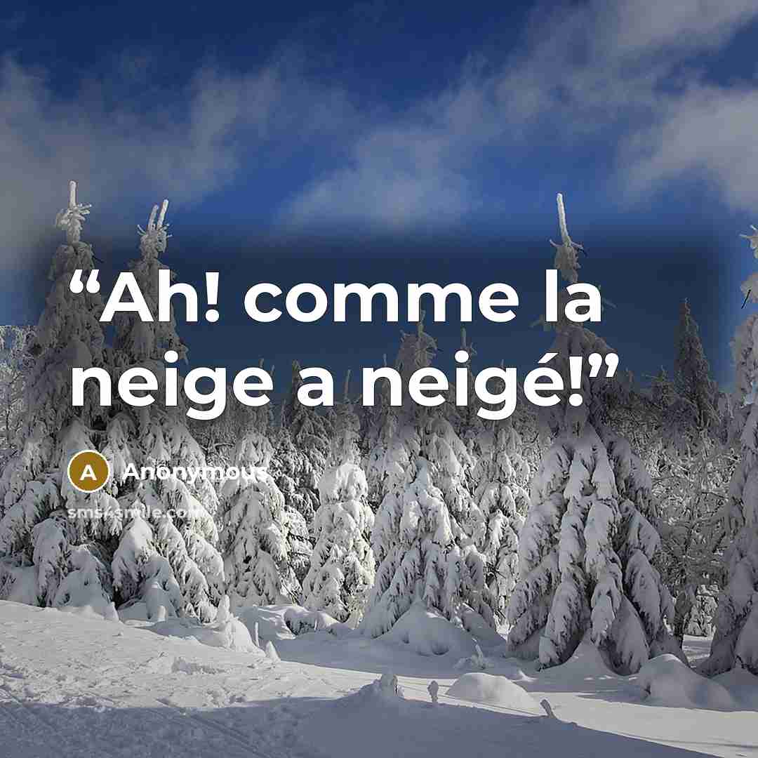 “Ah! comme la neige a neigé!” quote by Anonymous