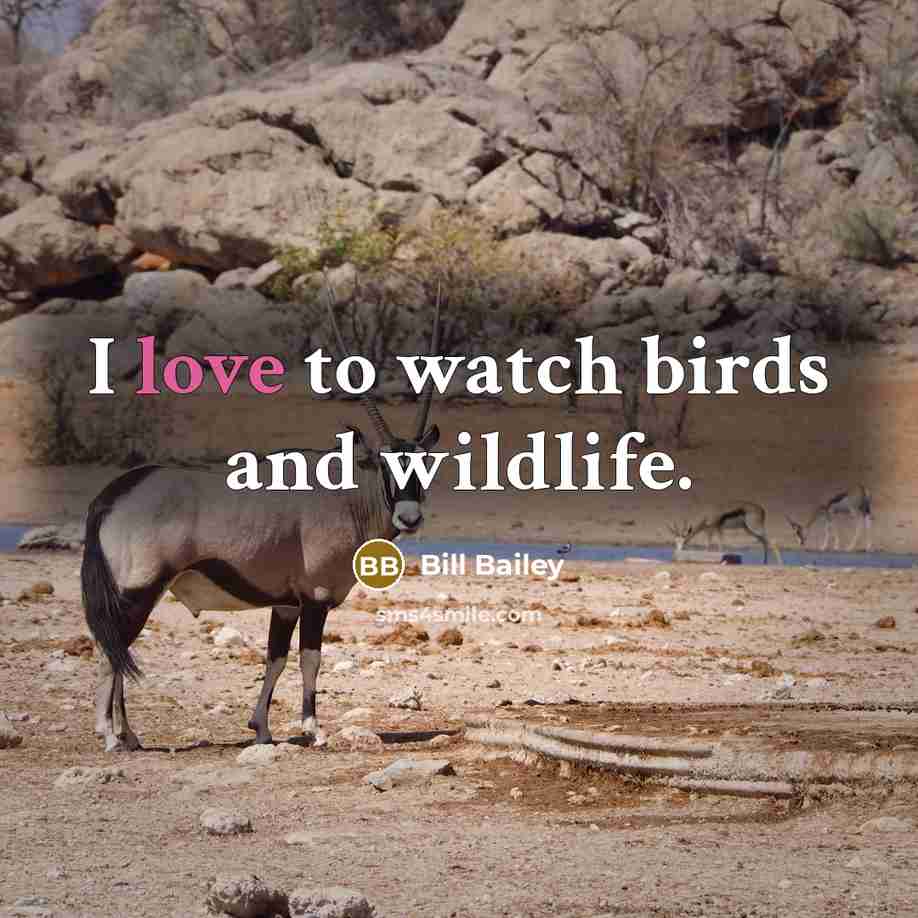 “I love to watch birds and wildlife.…” quote by Bill Bailey