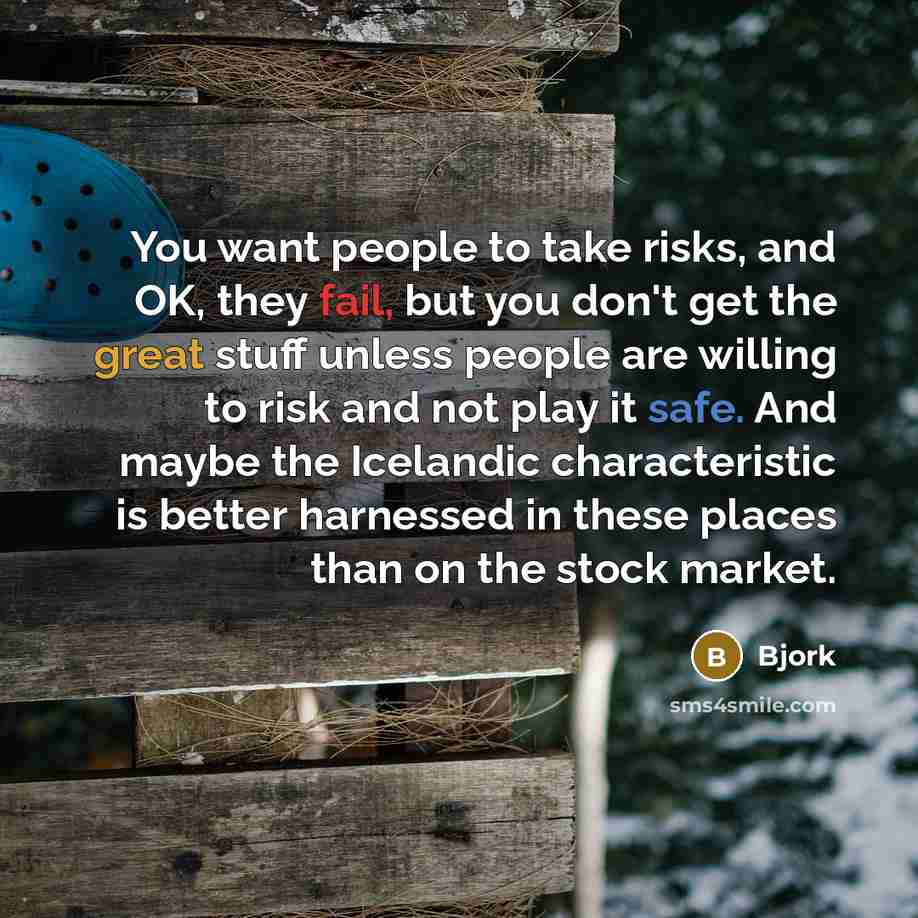 “You want people to take risks, and OK, they fail, but you don't get the great stuff unless people are willing to risk and not play it safe. And maybe the Icelandic characteristic is better harnessed in these places than on the stock market.” quote by Bjork