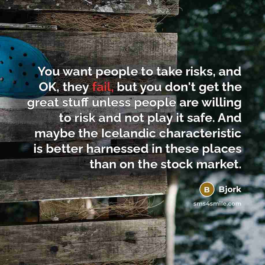 “You want people to take risks, and OK, they fail,…” quote by Bjork