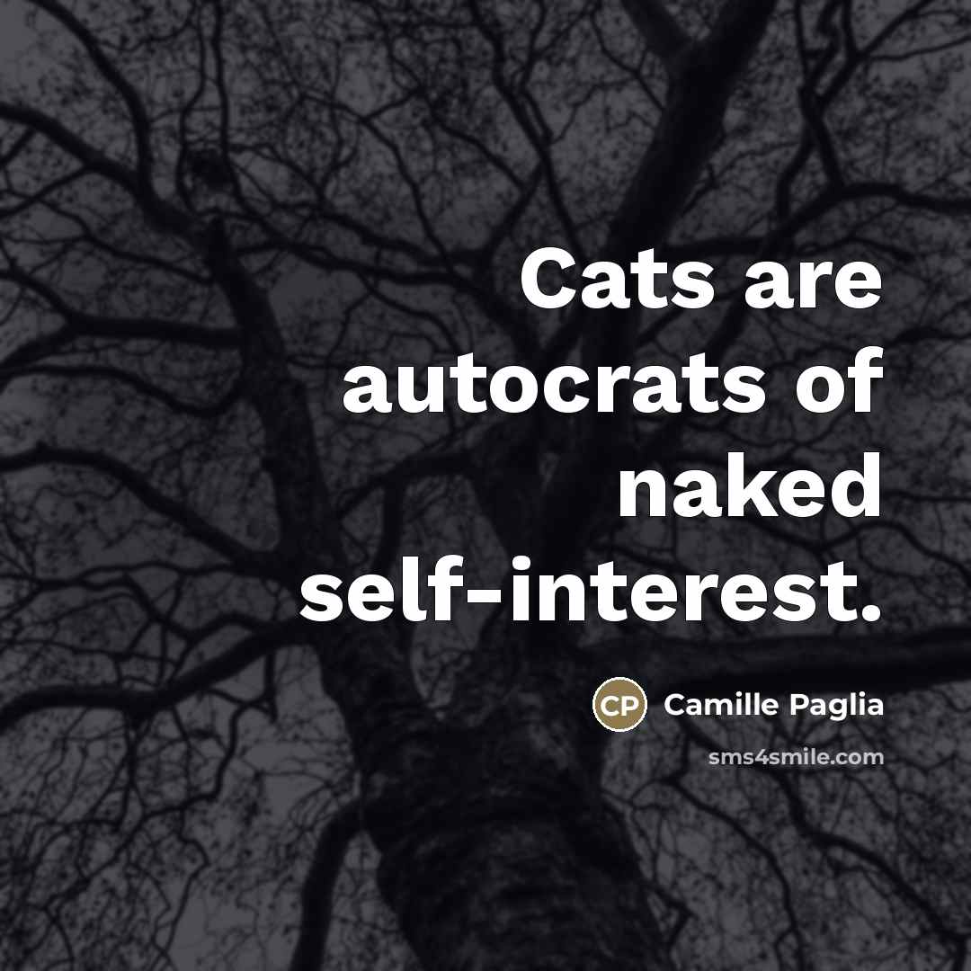 “Cats are autocrats of naked self-interest.…” quote by Camille Paglia