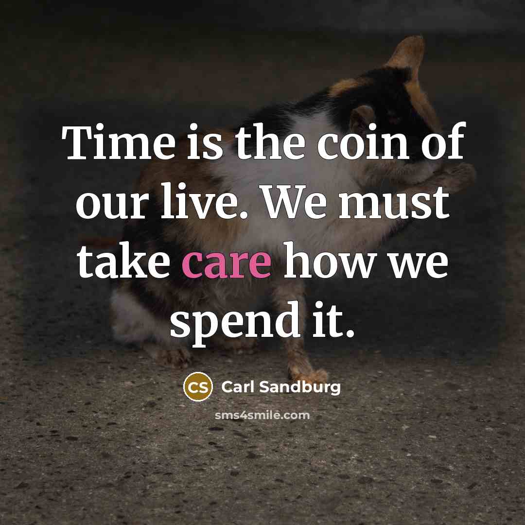 “Time is the coin of our live. We must take…” quote by Carl Sandburg