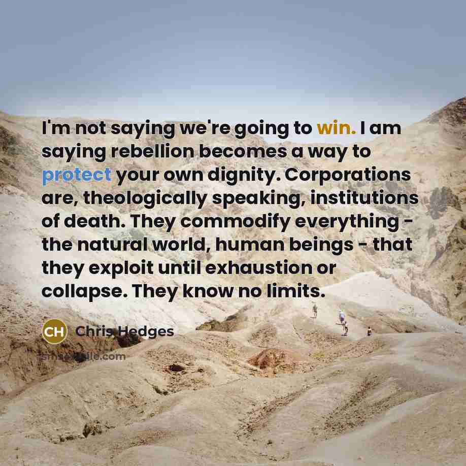 “I'm not saying we're going to win. I am saying…” quote by Chris Hedges