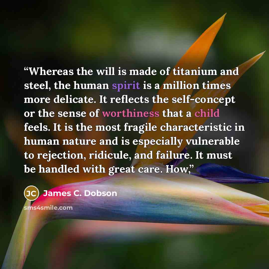“Whereas the will is made of titanium and steel, the human spirit is a million times more delicate. It reflects the self-concept or the sense of worthiness that a child feels. It is the most fragile characteristic in human nature and is especially vulnerable to rejection, ridicule, and failure. It…” quote by James C. Dobson