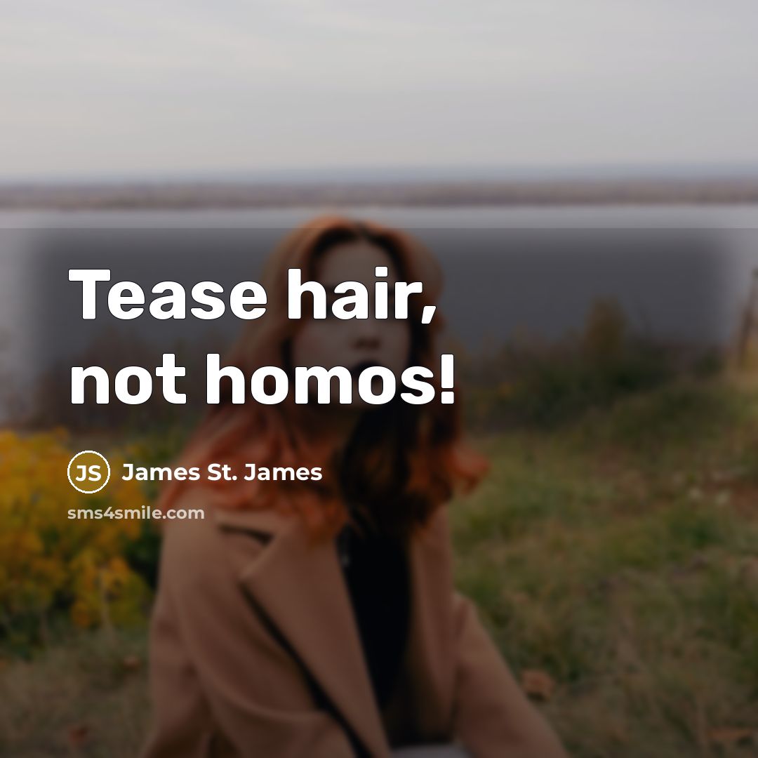 “Tease hair, not homos!…” quote by James St. James